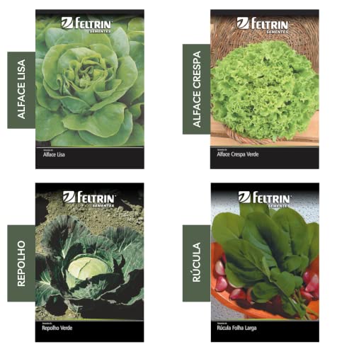 Conjunto de Vasos para Jardim Caseiro com Sementes de Vegetais para Salada