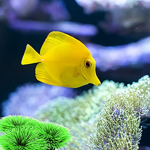 Image of Tyenaza Fish Breeding Grass, Aquarium Fish Tank Plastic Plants Ornamental Fish Betta Resting Spawning Bed Plastic Aquarium Plants Fish Tank Supplies