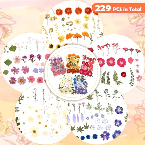Image of 269 PCS Dried Pressed Flowers for Resin Crafts, Bulk Real Nature Pressed Flowers Set Dried Wildflowers Leaves with Butterfly Stickers Tweezers for Jewelry Making DIY Scrapbook Floral Frame Decors