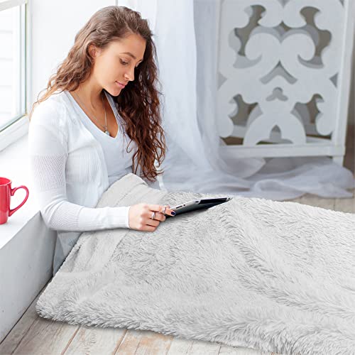 Pavilia Soft Fluffy Faux Fur Throw Blanket, Twin Light Grey Silver, Shaggy Furry Warm Sherpa Blanket Fleece Throw For Bed, Sofa, Couch, Decorative Fuzzy Plush Comfy Thick Throw Blanket, 60X80 Inches #TOP5