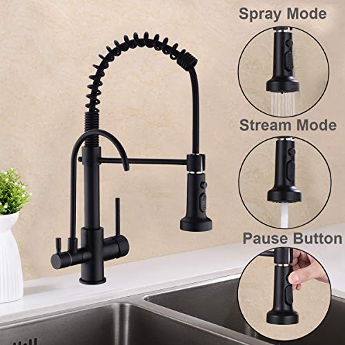 Gicasa Kitchen Faucet, Commercial 3 In 1 Spring Black Kitchen Faucet, High Arc Single Hole Pull Down Sprayer Kitchen Sink Faucet, Ro System Water Filter Faucet Integrated Into Kitchen Faucet #TOP2