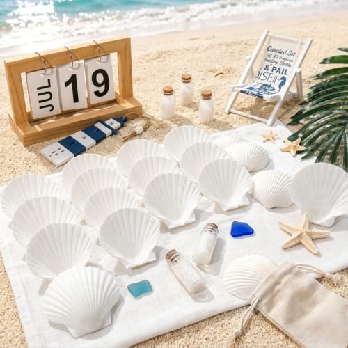 Image of QICQDRAM 30PCS Seashells for Crafts 3''-4'' Scallop Shells for Painting