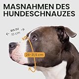 BronzeDog Maulkorb für Hunde aus Metall – Amstaff Drahtkorb mit verstellbaren Lederriemen für große Hunde