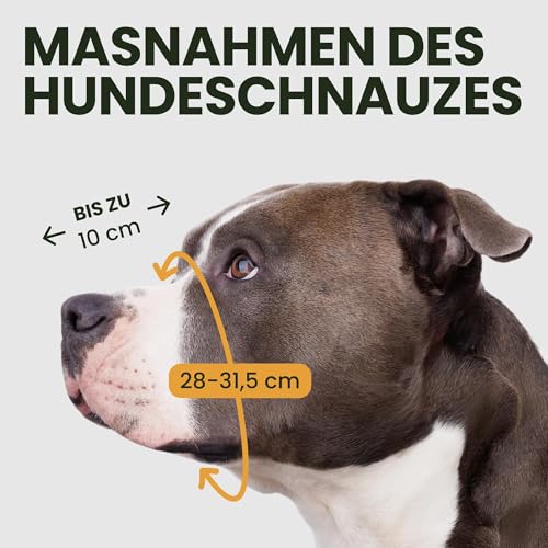 BronzeDog Maulkorb für Hunde aus Metall – Amstaff Drahtkorb mit verstellbaren Lederriemen für große Hunde
