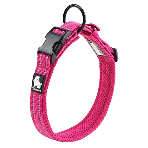 Dog Collar