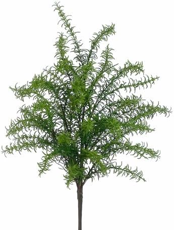 24" Rosemary Bush Green (Pack of 4)