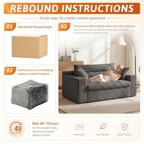 Image of Erament Boneless Loveseat Sofa Couch, 2 in 1 Convertible Sofa Bed with Pillows, Fold Out Bean Bag Chair Boneless Floor Couch for Living Room Bedroom Office Lounge Apartment, No Assembly Needed, Grey