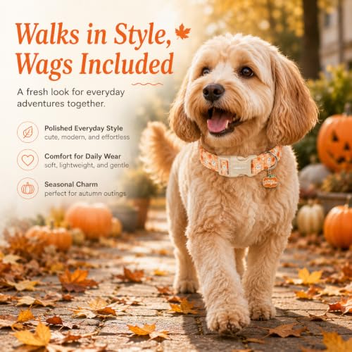 Image of ARING PET Halloween Dog Collar for Puppy Small Medium Large Dog-Orange XS