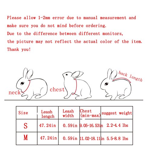 Layboo Soft Handsome Collar Rabbit Little Dogs Cats Harness With Leash Size (S, Black) #TOP5