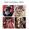 Dog-Carrier-Legs-Out-Front-Pet-Carrier-Backpack-Adjustable-Puppy-Cat-Small-Bag-with-Shoulder-Strap-and-Sling-for-Traveling-Hiking-Camping-Outdoor Adjustable Puppy Small Bag with Shoulder Strap