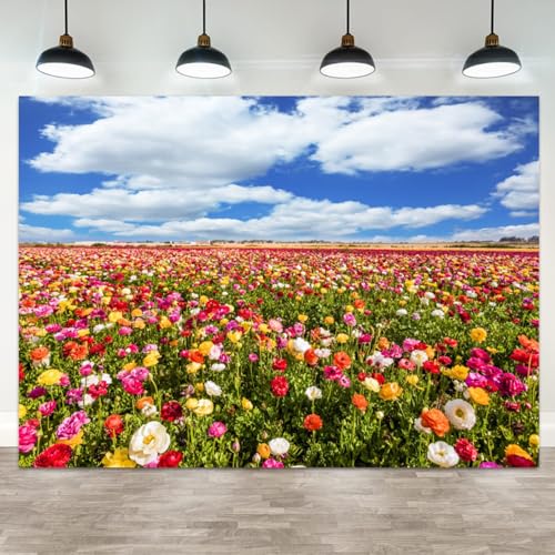 ASDCXZ 20x10ft Flower Field Backdrop Colorful Ranunculus Meadow Floral Landscape Photography Background Blue Sky White Clouds Spring Scenery Decor Weddings Banner Mother's Day Decors