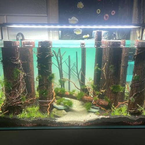 Image of YZHZOM 160g Aquarium Driftwood Roots - Bushy Tank Wood for aquascaping -Perfect for Fry, Shrimp or Terrarium,Natural Wood Roots for Aquarium aquascaping