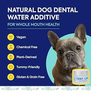 For life protektin42 plant derived dental water additive for dogs daily dental care clinically proven formula naturally fights plaque and tartar refill packet with 30 servings   cucciolini doodles