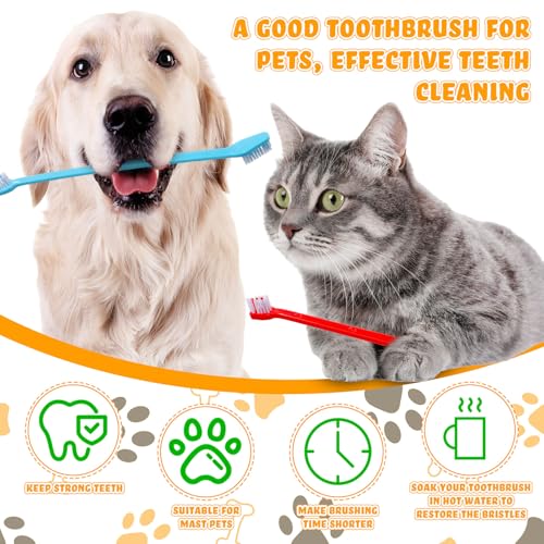 Image of Nuenen 150 Pcs Dog Toothbrush Dual Headed Dental Brushes Puppy Tooth Brushing Kit Long Handle Toothbrush for Large and Small Dogs Cats Most Pets Teeth Cleaning Oral Care Supplies (Bright Color)
