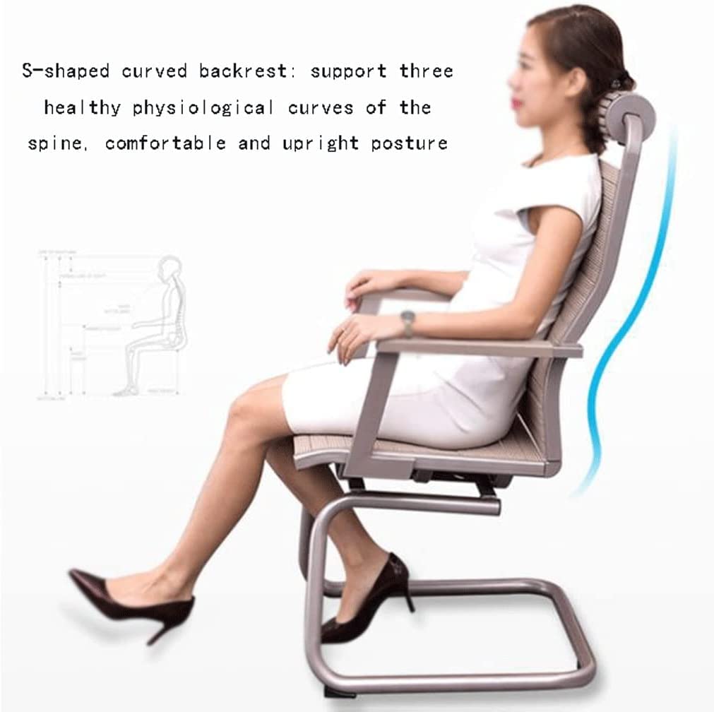 Krzesło Biurowe, Gumowa Taśma Ergonomiczne Krzesło Komputerowe Krzesło Pracownicze W Kształcie Łuku Krzesło Robocze Ze Stałymi Podłokietnikami I Nogami Biurowe(B)