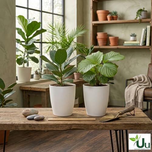Image of Urban Upvan 8 Inch Tower Pot with Tray (White) with Vermicompost | Large Round Flower Pot | Durable Lightweight Plastic Planter for Indoor Outdoor Plants, Balcony & Garden, (Pack of 2)