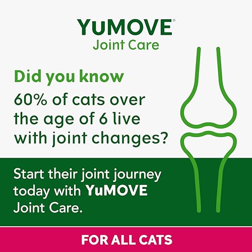 Lintbells | YuMOVE Katze | Nahrungsergänzungsmittel für Hüft- und Gelenke für steife Katzen, mit Glucosamin, Chondroitin, Grünlippmuschel, alle Altersgruppen und Rassen | 60 Kapseln