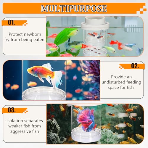 Image of Breeder Box for Fish Tank, Aquarium Breeder Box Plastic Floating Baby Fish Separator for Aquarium Transparent Hatchery Isolation Incubator for Shrimp Betta Clownfish Guppy