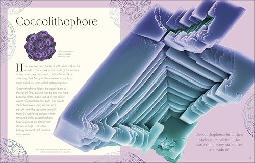 An Anthology of Micro Life: Discover the Stories of the Miniature World (DK Children's Anthologies) Hardcover – September 15, 2026 - Image 3