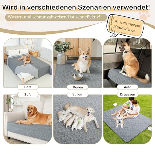 GYURO 100% wasserdichte Hundedecke-Beidseitig verfügbar und weich Hundematte für großeund kleine Hunde,Schutz für Sofa & Bett& Auto - in der Waschmaschine waschbar (Grau, 60 * 80CM)
