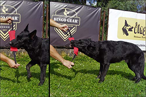 Dingo Gear Baumwolle-Nylon Beißwurst für Hundetraining IGP IPO Obiedence Schutzhund Hundesport 28 x 7 cm, 2 Griffen Schwarz S00074
