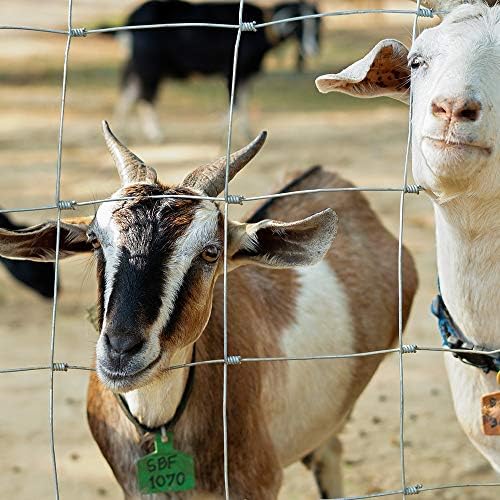 Amagabeli Garden Home 50m L8/100/15 Wire Stock Fencing Hot Dipped Galvanized Netting 2mm Wire Diameter Garden Farm Paddock Boundary Fence Livestock Fence for Pig Sheep Deer Cow Horse HC07