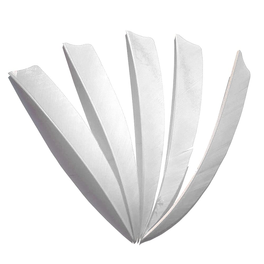 ZZYB 50pcs Arrow Turkey Feathers Archery Arrow Fletches 4 inch 5inch Natural Feather Fletching Right Wing for DIY Carbon Arrows (White, 4inch)