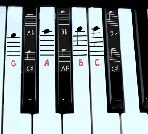 Piano and Keyboard Music Note Full Set Stickers for White and ...