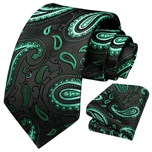 Image of HISDERN Ties for Men Paisley Tie and Pocket Square Woven Classic Floral Mens Ties Handkerchief Set Wedding Party Necktie