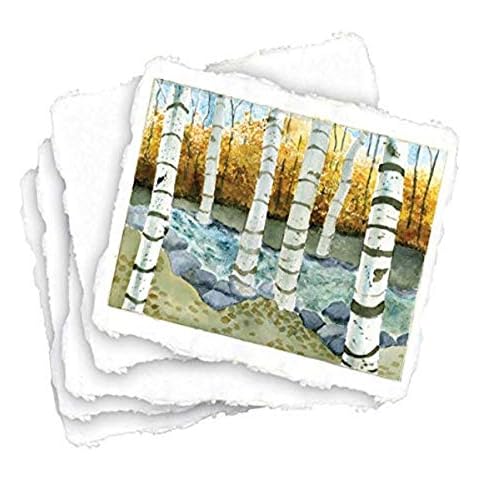 Shizen Design-SA-801 Punjab 100% Cotton Acid-Free Handmade Watercolor Paper, 90 lb, 9 X 12 in, Natural White, Pack of 25, Assorted Pearlescent Color Cover