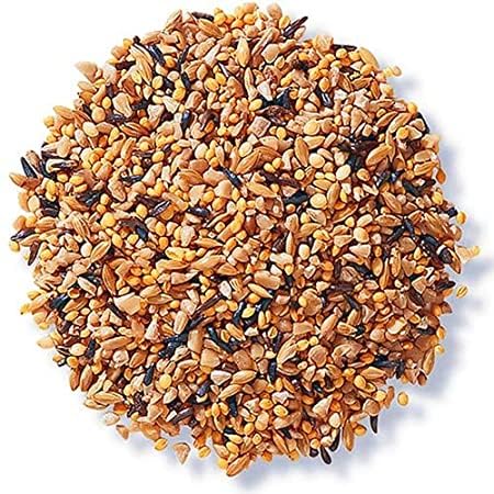Bird Feeder Food Refill | Premium 9 Grains & Nuts Blend | Mix Seeds for Indian Parrots, Sparrows, Doves & Wild Birds | High-Energy Nutrition for Outdoor Bird Feeders | 450Gram (B0D296QKJF) Amazon Price History, Amazon Price Tracker