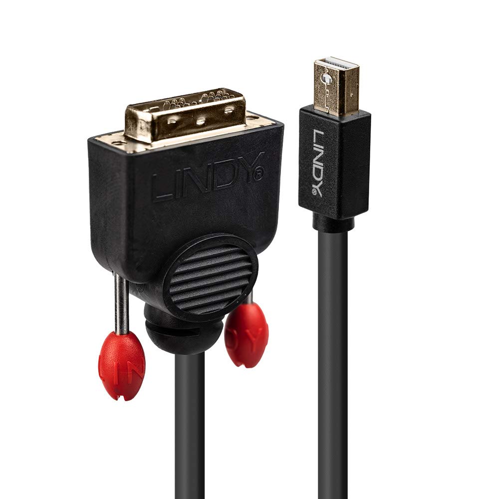 LINDY 41953 Cable Mini DisplayPort a DVI de 3m