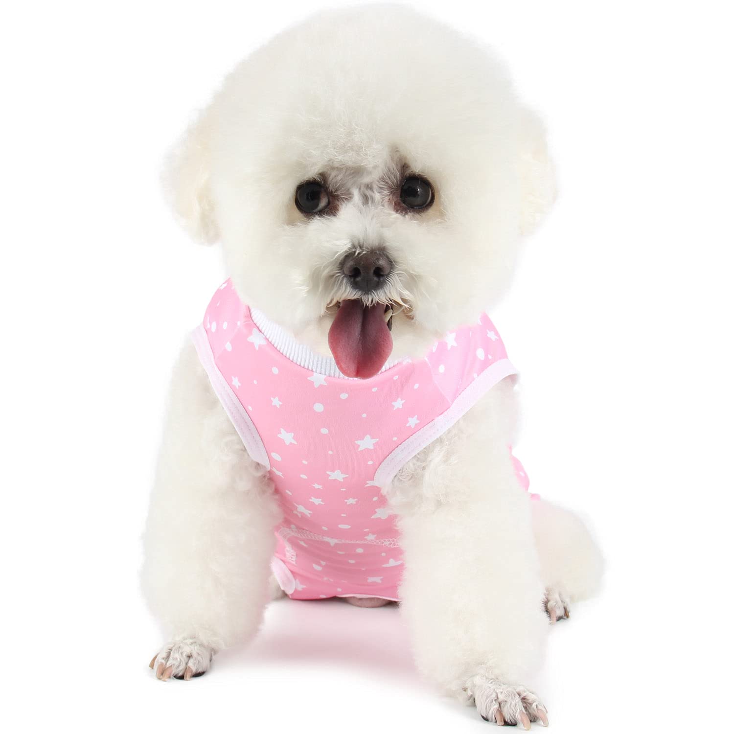Combinaison chirurgicale pour chien pour une convalescence sereine