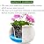 African Violet Pots 6 Inches Ceramic, Effortless Self Watering Pots for Indoor Plants for Busy Plant Lovers, Easy Plant Self Watering Pot, Plant Pots, Flower Pot, Plant pots Indoor
