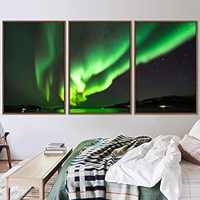 signwin 3 Piece Framed Canvas Wall Art Astronomy...