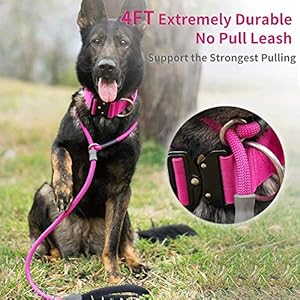 Strong Slip Rope Dog Training Leash 4ft  Heavy Duty Durable Braided Nylon Lead with Rubber Stopper  Padded Handle  No Pull Walking Climbing for Medium Large Dogs hot Pink 12 X 4ft  Cucciolini Doodles Strong slip rope dog training leash 4ft  heavy duty durable braided nylon lead with rubber stopper  padded handle  no pull walking climbing for medium large dogs hot pink 12 x 4ft   cucciolini doodles