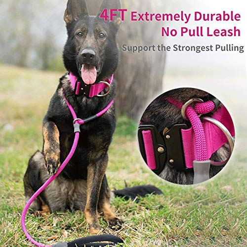 Strong Slip Rope Dog Training Leash 4ft  Heavy Duty Durable Braided Nylon Lead with Rubber Stopper  Padded Handle  No Pull Walking Climbing for Medium Large Dogs hot Pink 12 X 4ft  Cucciolini Doodles Strong slip rope dog training leash 4ft  heavy duty durable braided nylon lead with rubber stopper  padded handle  no pull walking climbing for medium large dogs hot pink 12 x 4ft   cucciolini doodles