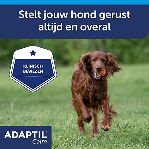 Adaptil Calm Halsband - Größe M/L - Anti-Stress-Halsband für Hunde