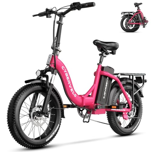 Aoango 1000W Folding Fat Tire Bike