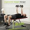 OLIXIS Adjustable Weight Bench for Full Body Strength Training, Foldable Workout Bench with Incline Flat Positions, 795 lbs Capacity Dumbbell Bench for Home Gym, Sit Up, Press, and Ab Exercises