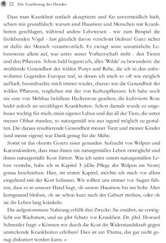 Das Kräuterhandbuch für Hund und Katze