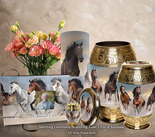 Image of Horse Celebration of Life Funeral Guest Book for Memorial Service