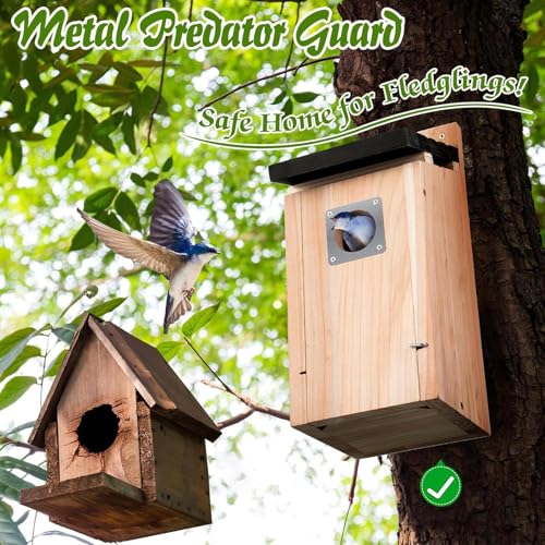 Nid d'oiseau suspendre cabane colibri nichoir bois étanche extérieur - 6