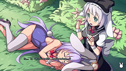 Rabi-Ribi jeu de plateforme et d'exploration en 2D pour console - 7