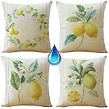 Outdoor wetterfest Kissenbezug Frucht Zitrone 4er Set 45x45cm deko Kissen gartenmöbel Balkon Kissenbezüge Kissenhülle