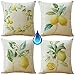 Outdoor wetterfest Kissenbezug Frucht Zitrone 4er Set 45x45cm deko Kissen gartenmöbel Balkon Kissenbezüge Kissenhülle
