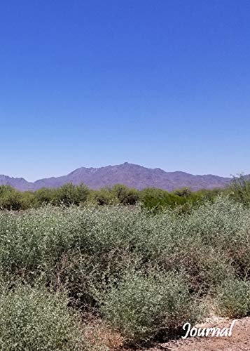 Desert Sky Journal (2) (Natural Wonders)