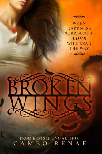 Broken Wings (Hidden Wings Series Book Two) Kindle Edition