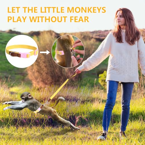 Image of Mini Monkey Leash, Adjustable Monkey Strap with Belly Bands and Matching Leash for Marmoset Monkey, Maximum Dimension 5.7 Inches for Monkey, Comfortable and Durable
