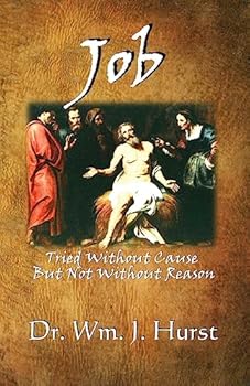 Paperback Job: Tried Without Cause, But Not Without Reason Book